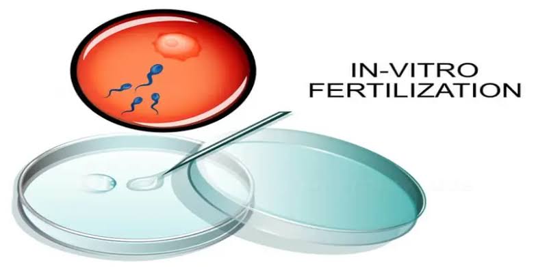 How much does IVF cost 
