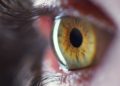US scientists discover unique way of spotting Alzheimer’s through Retinal images