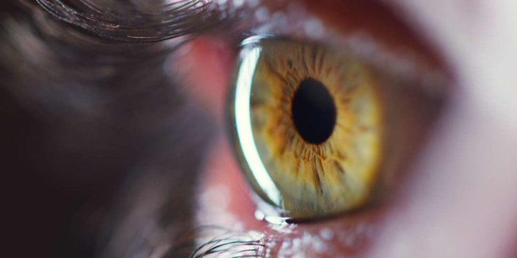 US scientists discover unique way of spotting Alzheimer’s through Retinal images