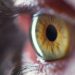 US scientists discover unique way of spotting Alzheimer’s through Retinal images