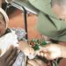 Malaria mortality losses to exceed COVID-19’s in sub-Saharan Africa, says WHO