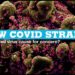 The State says that the Mutated strain of COVID-19 found in UK has not been traced in India so far