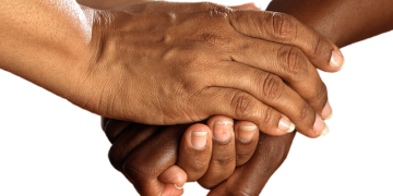 Govt to develop playbook for surveillance and research of non-communicable diseases (NCDs)