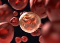 Cancer cells may evade chemotherapy: Study