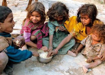 Seaweeds, Maggots To Combat Malnutrition