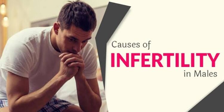 What are some causes of male infertility