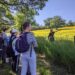 Health-Community-Raises-Urgent-Climate-Change-and-Health-Concerns-Ahead-of-COP28-thehealthcaredaily