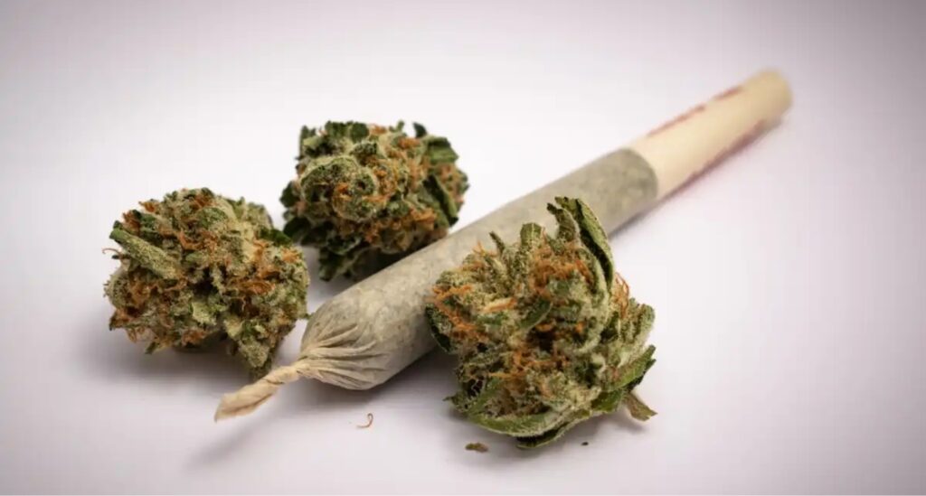 The-Complex-Relationship-Between-Cannabis-Use-and-Psychosis-TheHealthcareDaily